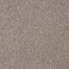 Sensation Original by Cormar Carpets £ 23.99 SQ M