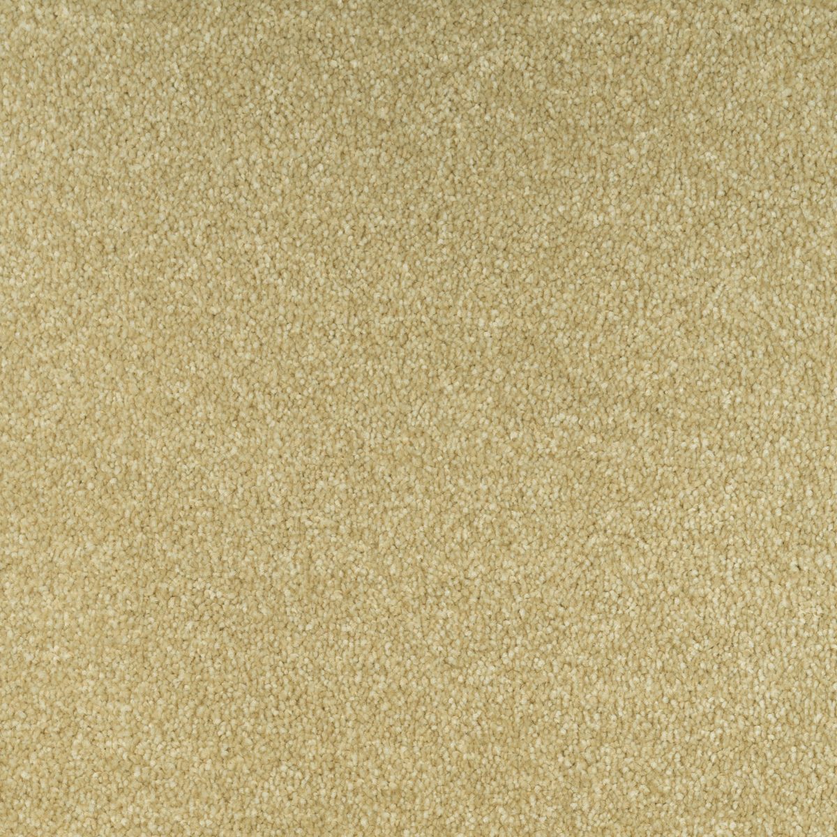 Jubilant Soft Touch by Fells Carpets £ 18.99 SQ M