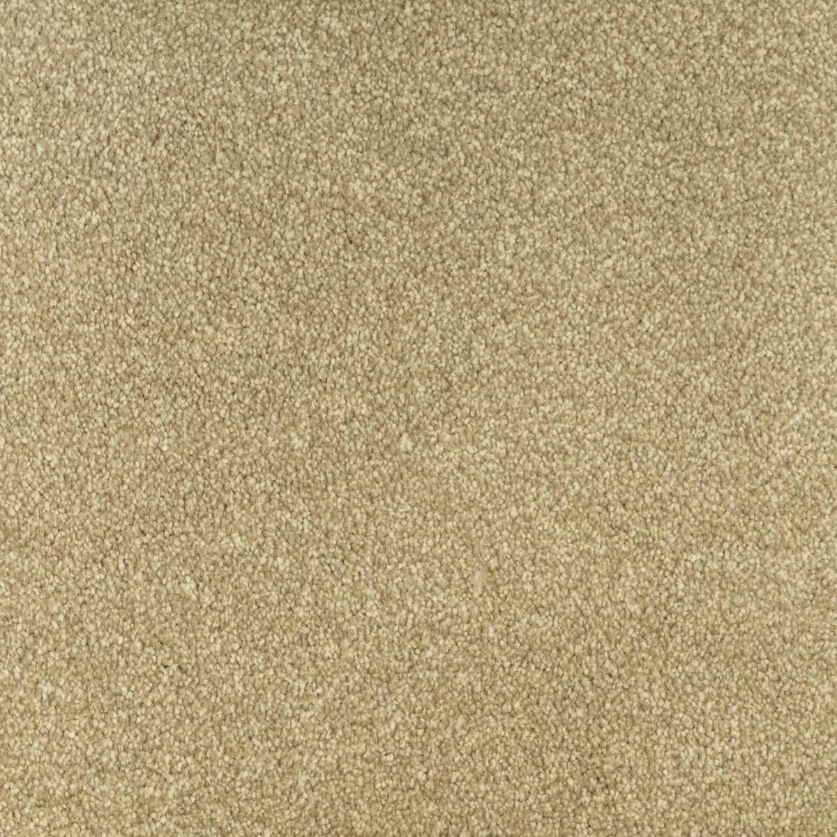 Jubilant Soft Touch by Fells Carpets £ 18.99 SQ M