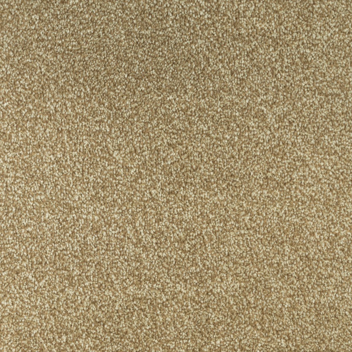 Jubilant Soft Touch by Fells Carpets £ 18.99 SQ M