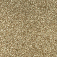 Jubilant Soft Touch by Fells Carpets £ 18.99 SQ M