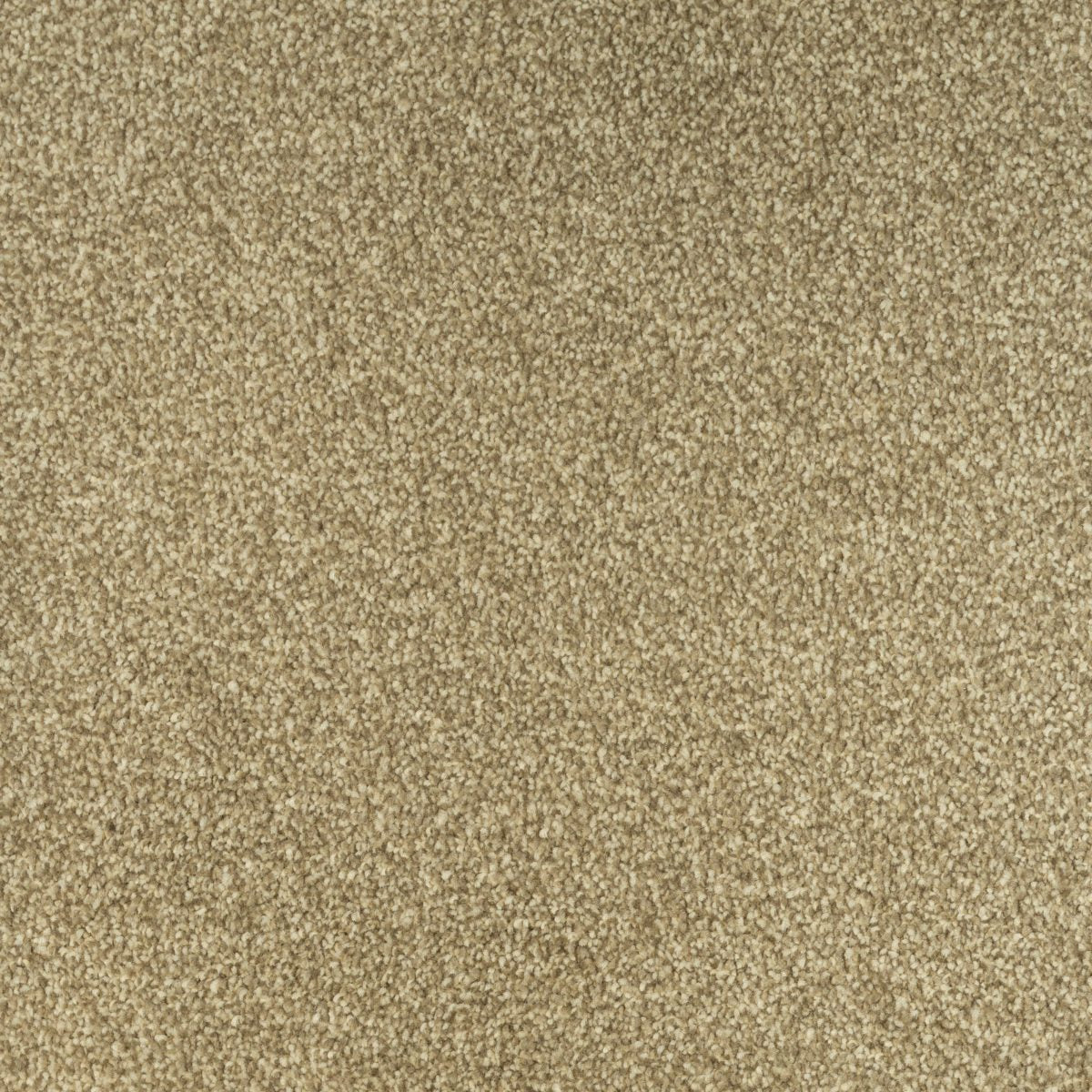 Jubilant Soft Touch by Fells Carpets £ 18.99 SQ M