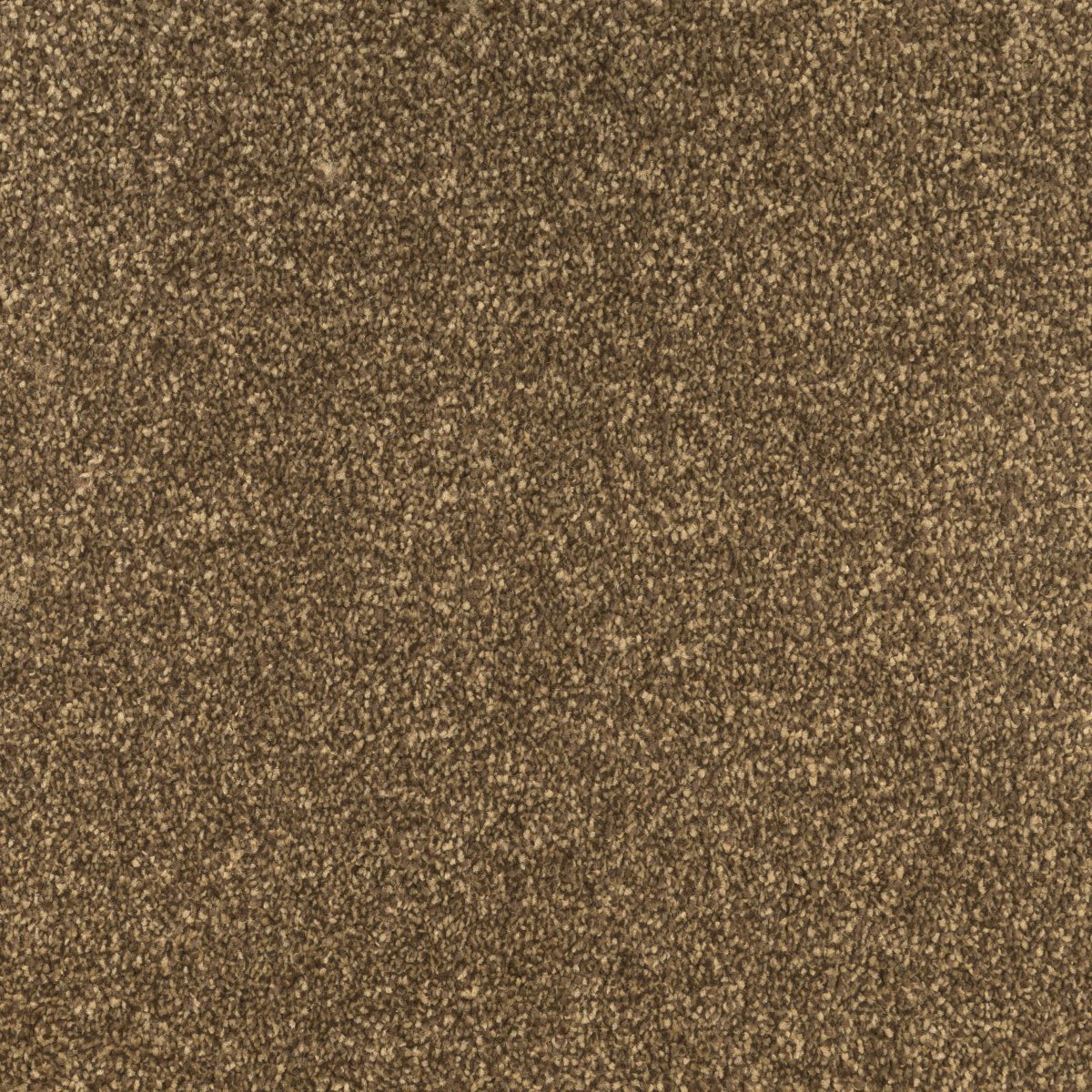 Jubilant Soft Touch by Fells Carpets £ 18.99 SQ M