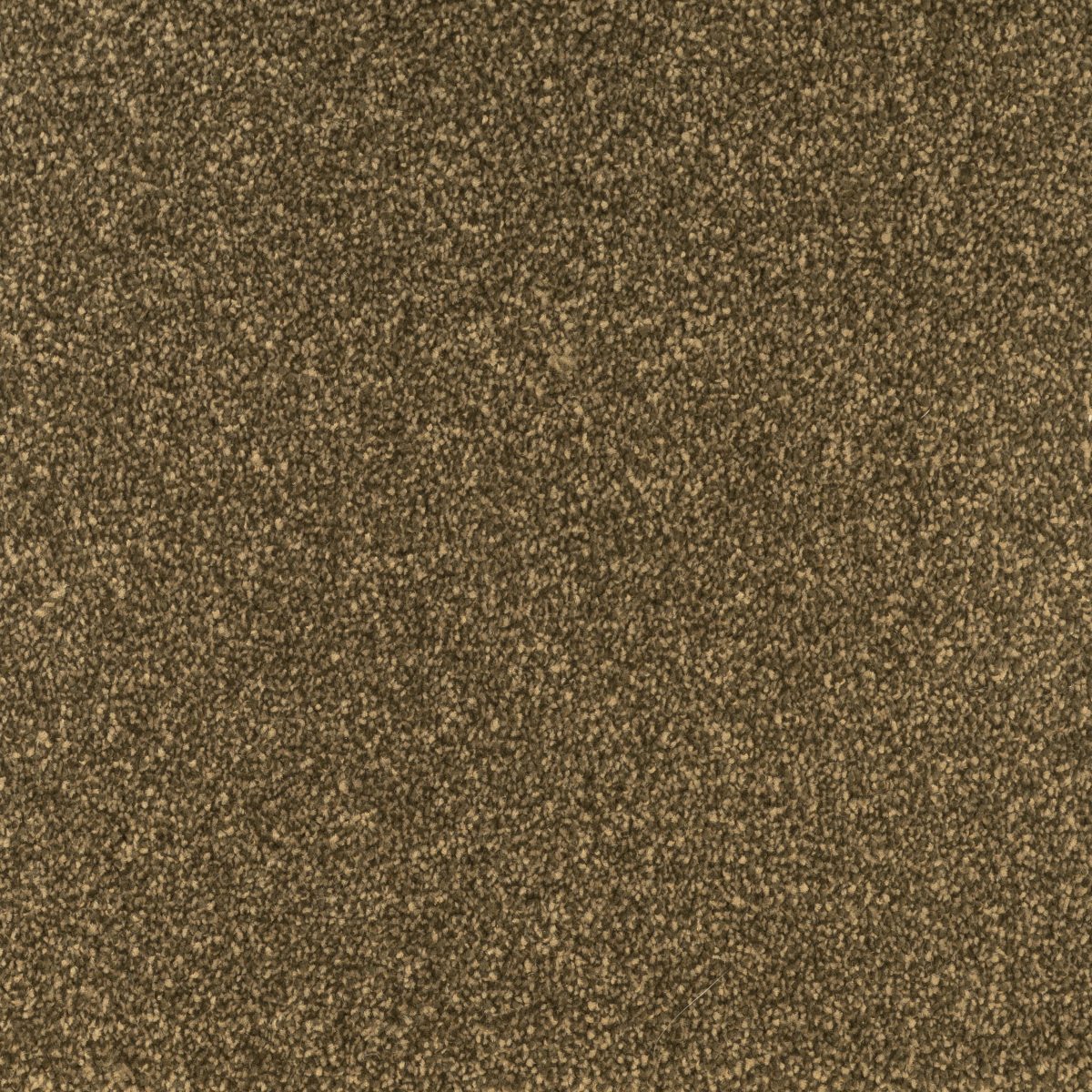 Jubilant Soft Touch by Fells Carpets £ 18.99 SQ M