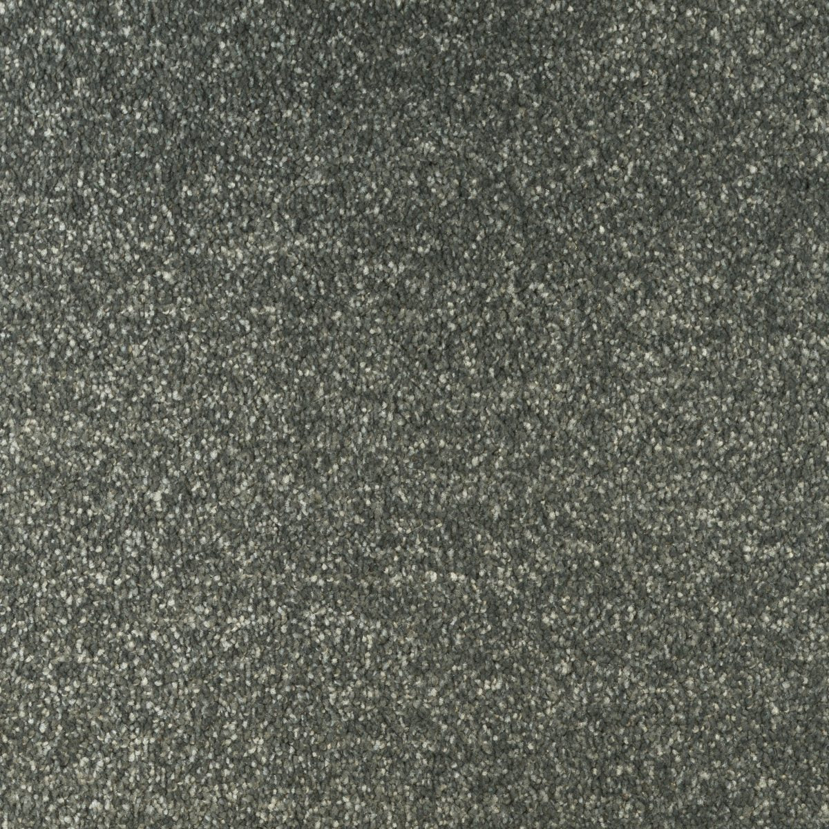 Jubilant Soft Touch by Fells Carpets £ 18.99 SQ M