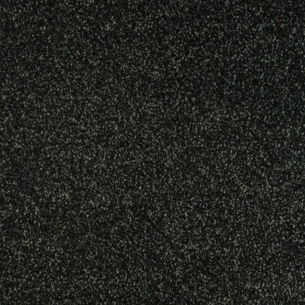Jubilant Soft Touch by Fells Carpets £ 18.99 SQ M