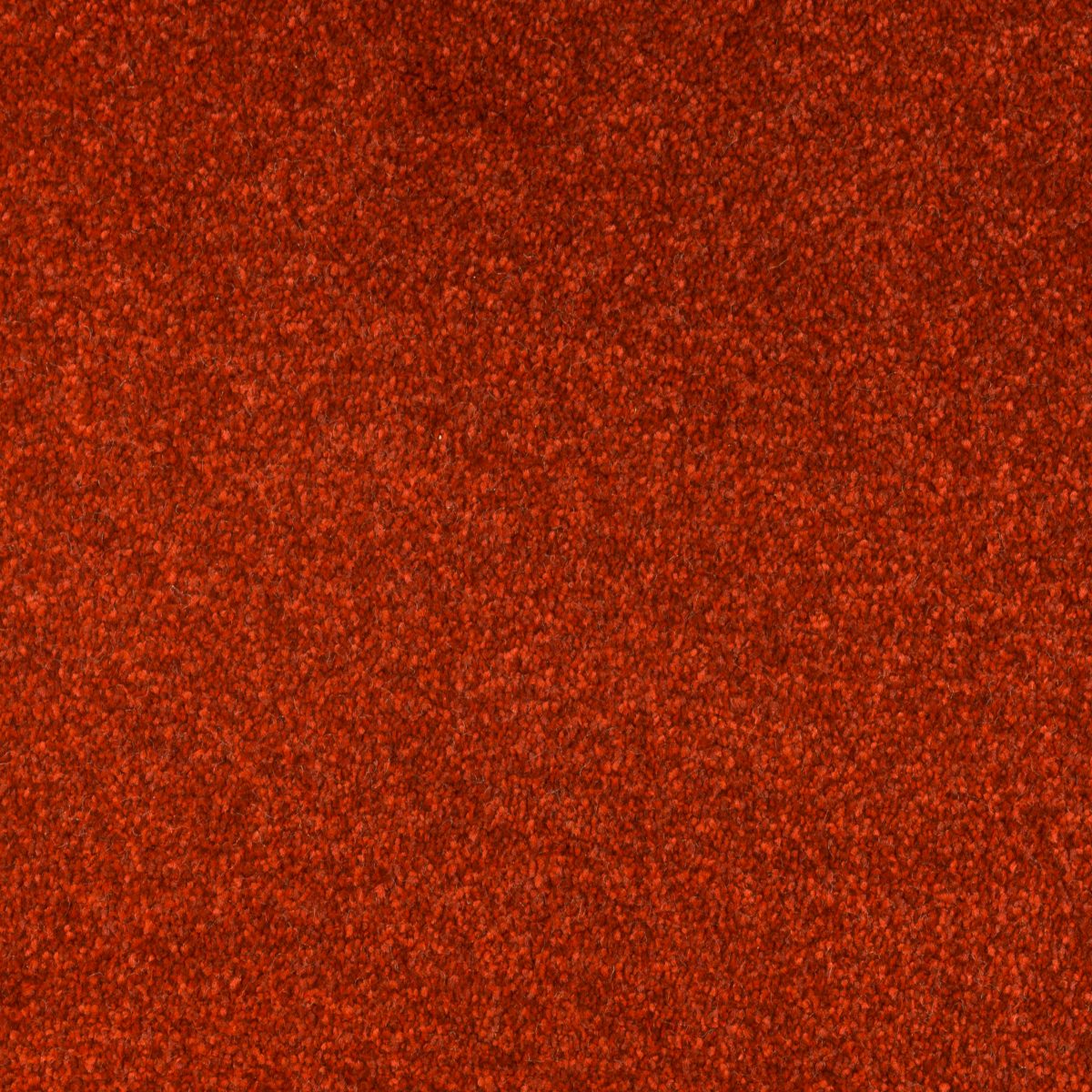 Jubilant Soft Touch by Fells Carpets £ 18.99 SQ M