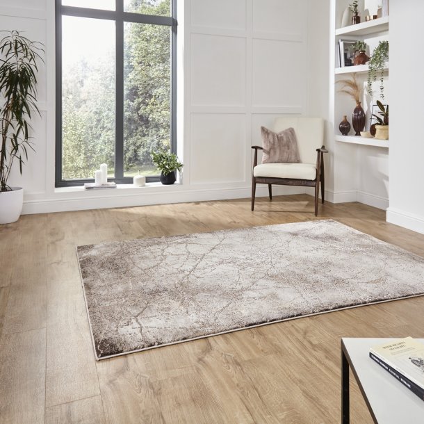 Florence 50035 Rug in Beige