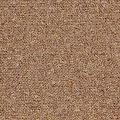 Fortress Carpet Tiles TAN 111 Price £ 5.99 Per Tile