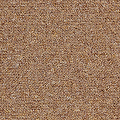 Fortress Carpet Tiles TAN 111 Price £ 5.99 Per Tile