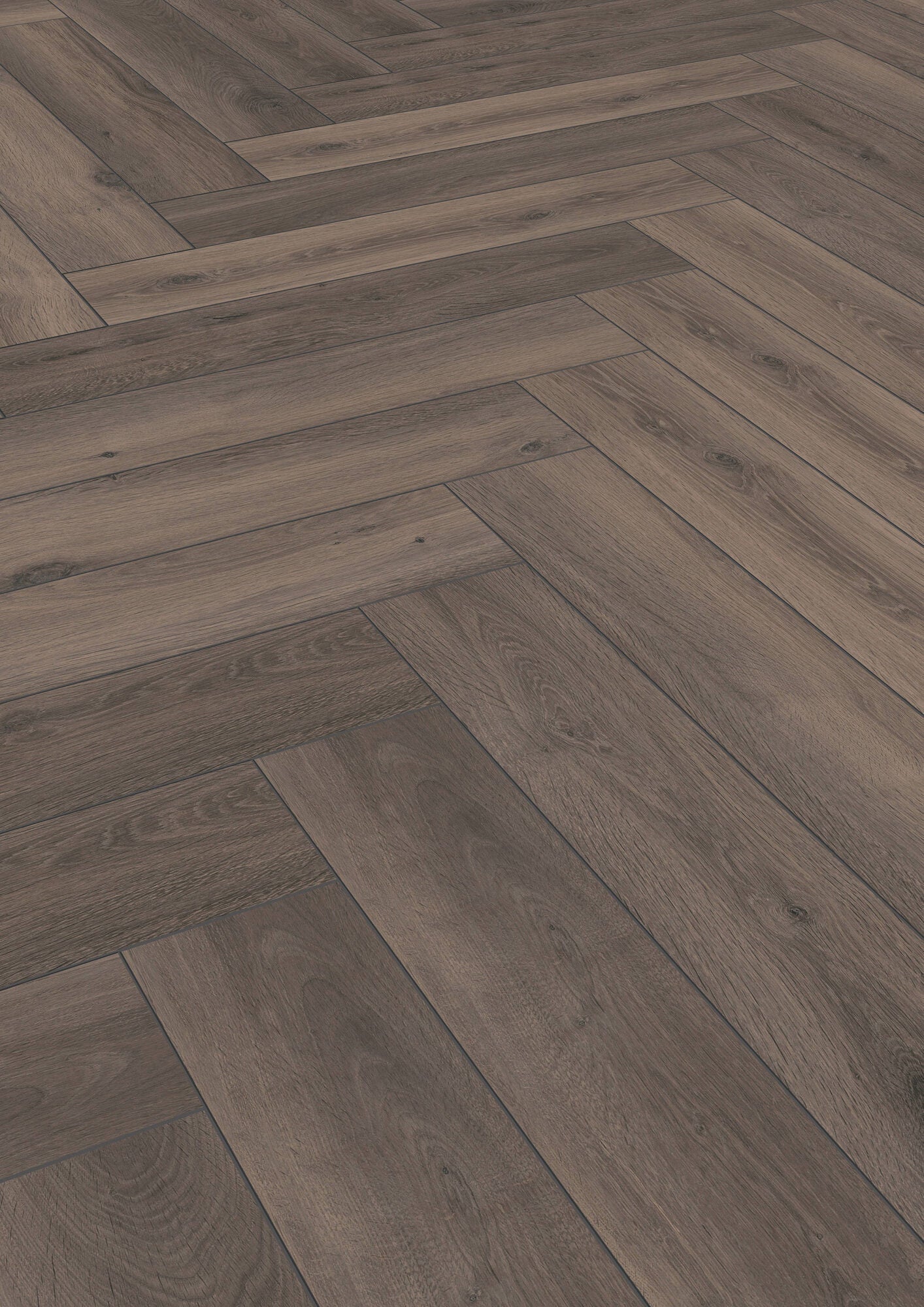 HERRINGBONE 8MM LAMINATE FERRARA OAK D3860 £22.99 SQ M