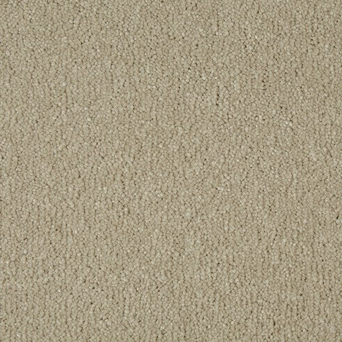 Sensation Original by Cormar Carpets £ 23.99 SQ M