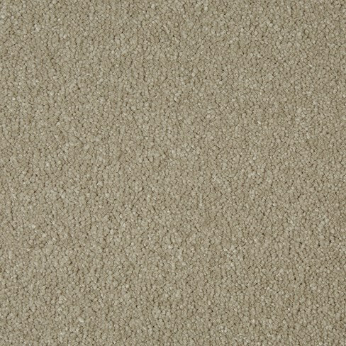 Sensation Original by Cormar Carpets £ 23.99 SQ M